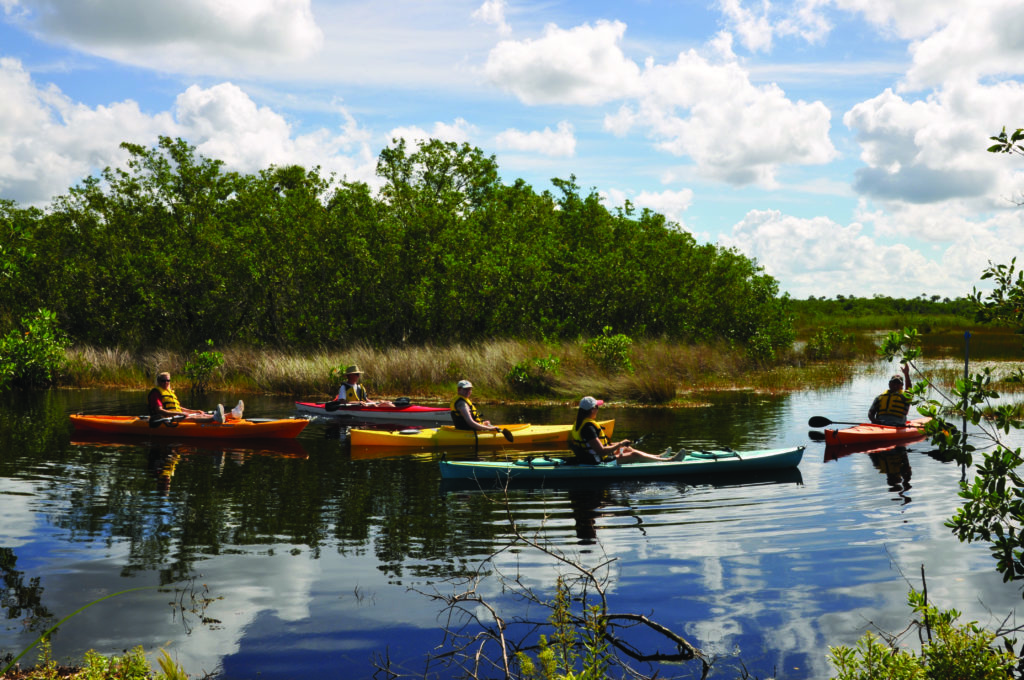 Everglades