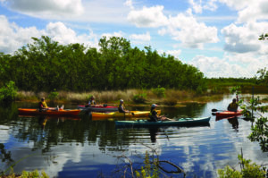 Everglades