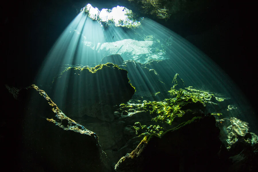 Bahamas Underwater